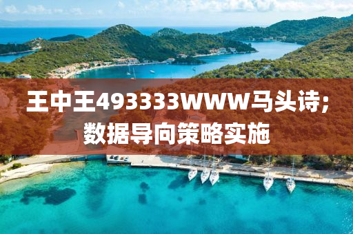 王中王493333WWW马头诗;数据导向策略实施