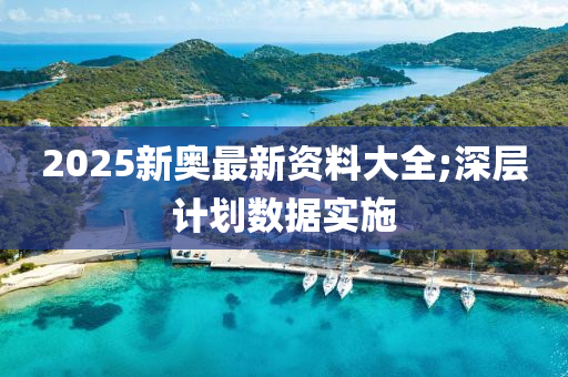 2025新奥最新资料大全;深层计划数据实施