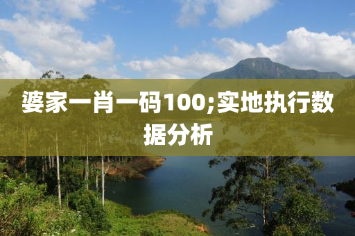 婆家一肖一码100;实地执行数据分析