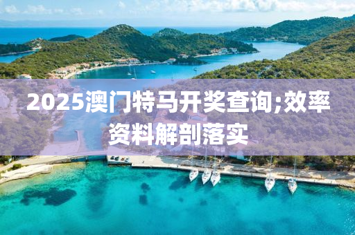 2025澳门特马开奖查询;效率资料解剖落实