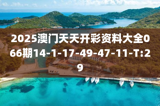 2025澳门天天开彩资料大全066期14-1-17-49-47-11-T:29