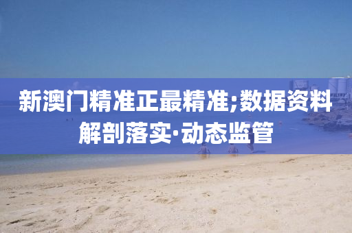 新澳门精准正最精准;数据资料解剖落实·动态监管