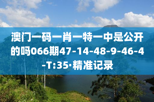 澳门一码一肖一特一中是公开的吗066期47-14-48-9-46-4-T:35·精准记录