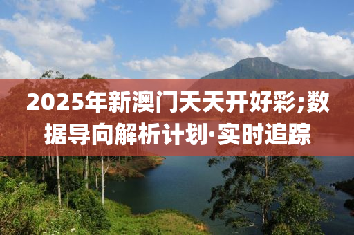 2025年新澳门天天开好彩;数据导向解析计划·实时追踪