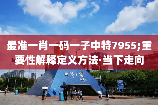 最准一肖一码一子中特7955;重要性解释定义方法·当下走向
