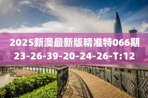 2025新澳最新版精准特066期23-26-39-20-24-26-T:12