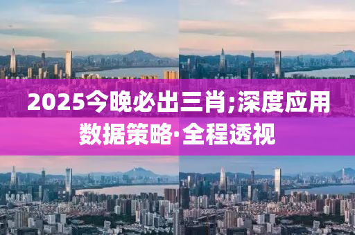 2025今晚必出三肖;深度应用数据策略·全程透视
