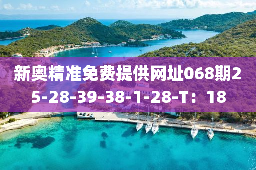 新奥精准免费提供网址068期25-28-39-38-1-28-T：18