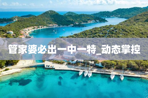 管家婆必出一中一特_动态掌控