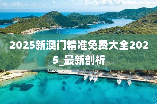 2025新澳门精准免费大全2025_最新剖析
