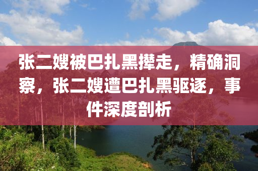 张二嫂被巴扎黑撵走，精确洞察，张二嫂遭巴扎黑驱逐，事件深度剖析