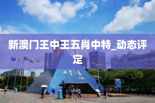 新澳门王中王五肖中特_动态评定