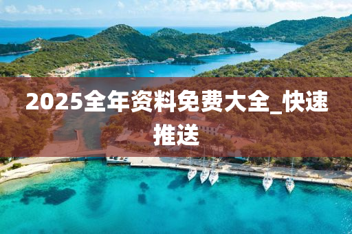2025全年资料免费大全_快速推送