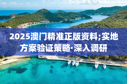 2025澳门精准正版资料;实地方案验证策略·深入调研
