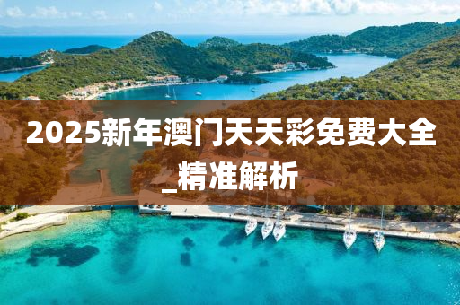 2025新年澳门天天彩免费大全_精准解析