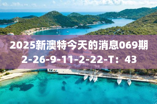 2025新澳特今天的消息069期2-26-9-11-2-22-T：43