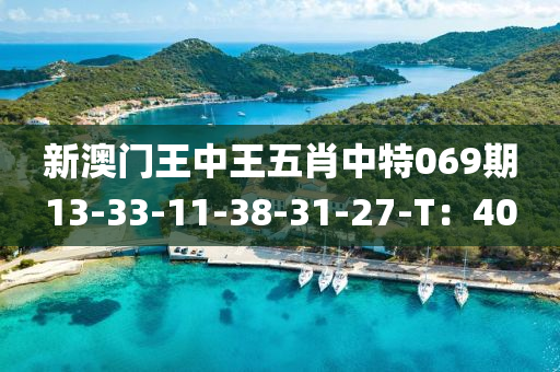 新澳门王中王五肖中特069期13-33-11-38-31-27-T：40