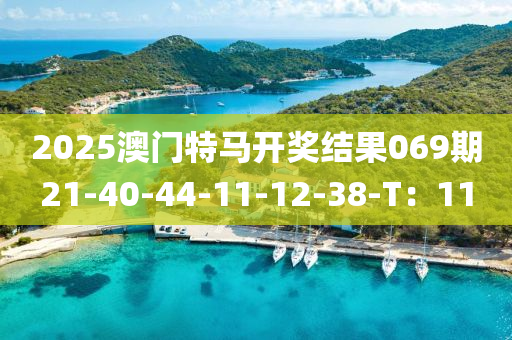 2025澳门特马开奖结果069期21-40-44-11-12-38-T：11