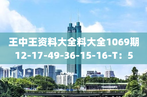 王中王资料大全料大全1069期12-17-49-36-15-16-T：5