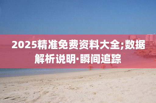 2025精准免费资料大全;数据解析说明·瞬间追踪