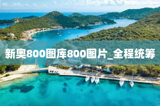 新奥800图库800图片_全程统筹