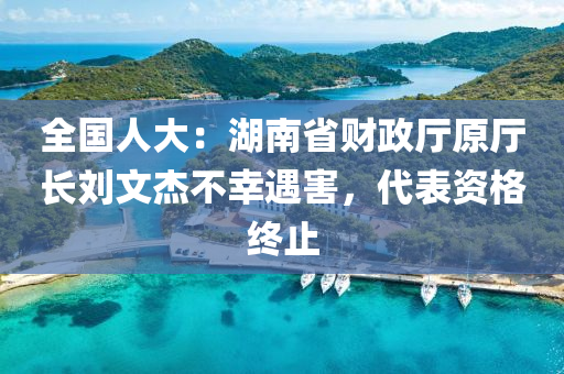全国人大：湖南省财政厅原厅长刘文杰不幸遇害，代表资格终止