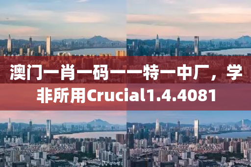 澳门一肖一码一一特一中厂，学非所用Crucial1.4.4081