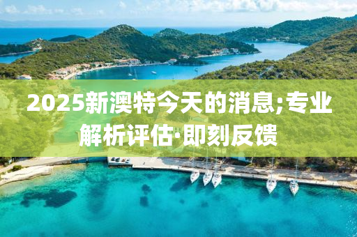 2025新澳特今天的消息;专业解析评估·即刻反馈