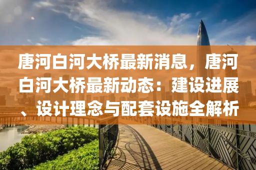 唐河白河大桥最新消息，唐河白河大桥最新动态：建设进展、设计理念与配套设施全解析