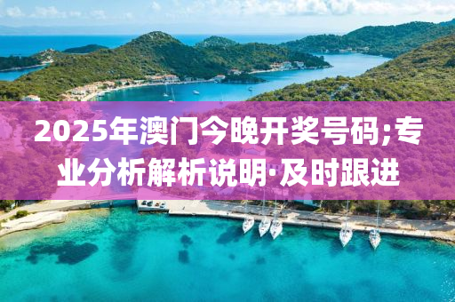 2025年澳门今晚开奖号码;专业分析解析说明·及时跟进