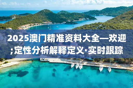 2025澳门精准资料大全—欢迎;定性分析解释定义·实时跟踪