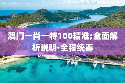 澳门一肖一特100精准;全面解析说明·全程统筹