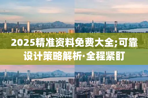 2025精准资料免费大全;可靠设计策略解析·全程紧盯