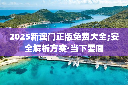 安全解析方案