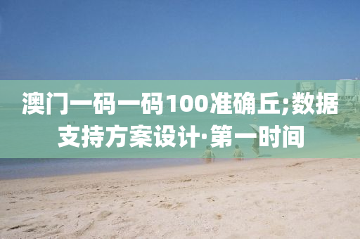 澳门一码一码100准确丘;数据支持方案设计·第一时间