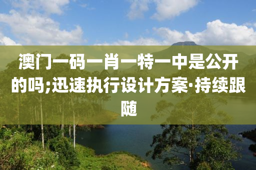 澳门一码一肖一特一中是公开的吗;迅速执行设计方案·持续跟随