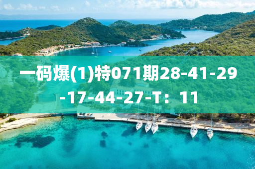 一码爆(1)特071期28-41-29-17-44-27-T：11