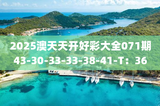 2025澳天天开好彩大全071期43-30-33-33-38-41-T：36