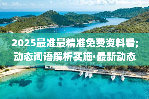 2025最准最精准免费资料看;动态词语解析实施·最新动态