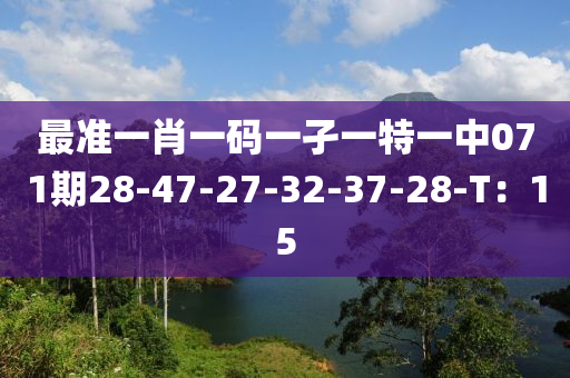 最准一肖一码一孑一特一中071期28-47-27-32-37-28-T：15