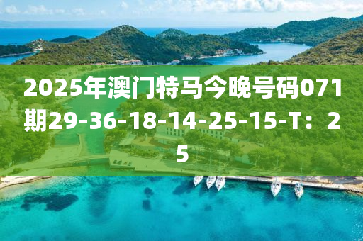 2025年澳门特马今晚号码071期29-36-18-14-25-15-T：25