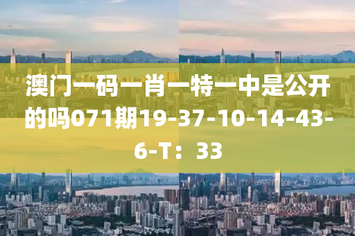 澳门一码一肖一特一中是公开的吗071期19-37-10-14-43-6-T：33