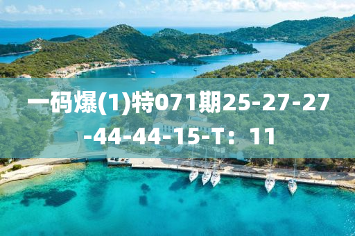 一码爆(1)特071期25-27-27-44-44-15-T：11