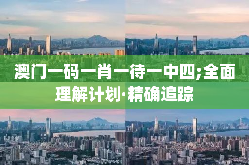 澳门一码一肖一待一中四;全面理解计划·精确追踪