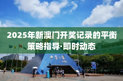 平衡策略指导