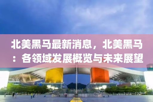 北美黑马最新消息，北美黑马：各领域发展概览与未来展望