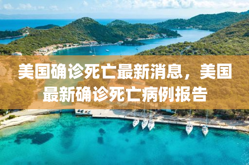 美国确诊死亡最新消息，美国最新确诊死亡病例报告