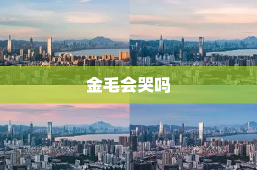 金毛会哭吗