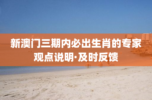 2025年3月13日 第43页