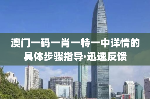 澳门一码一肖一特一中详情的具体步骤指导·迅速反馈